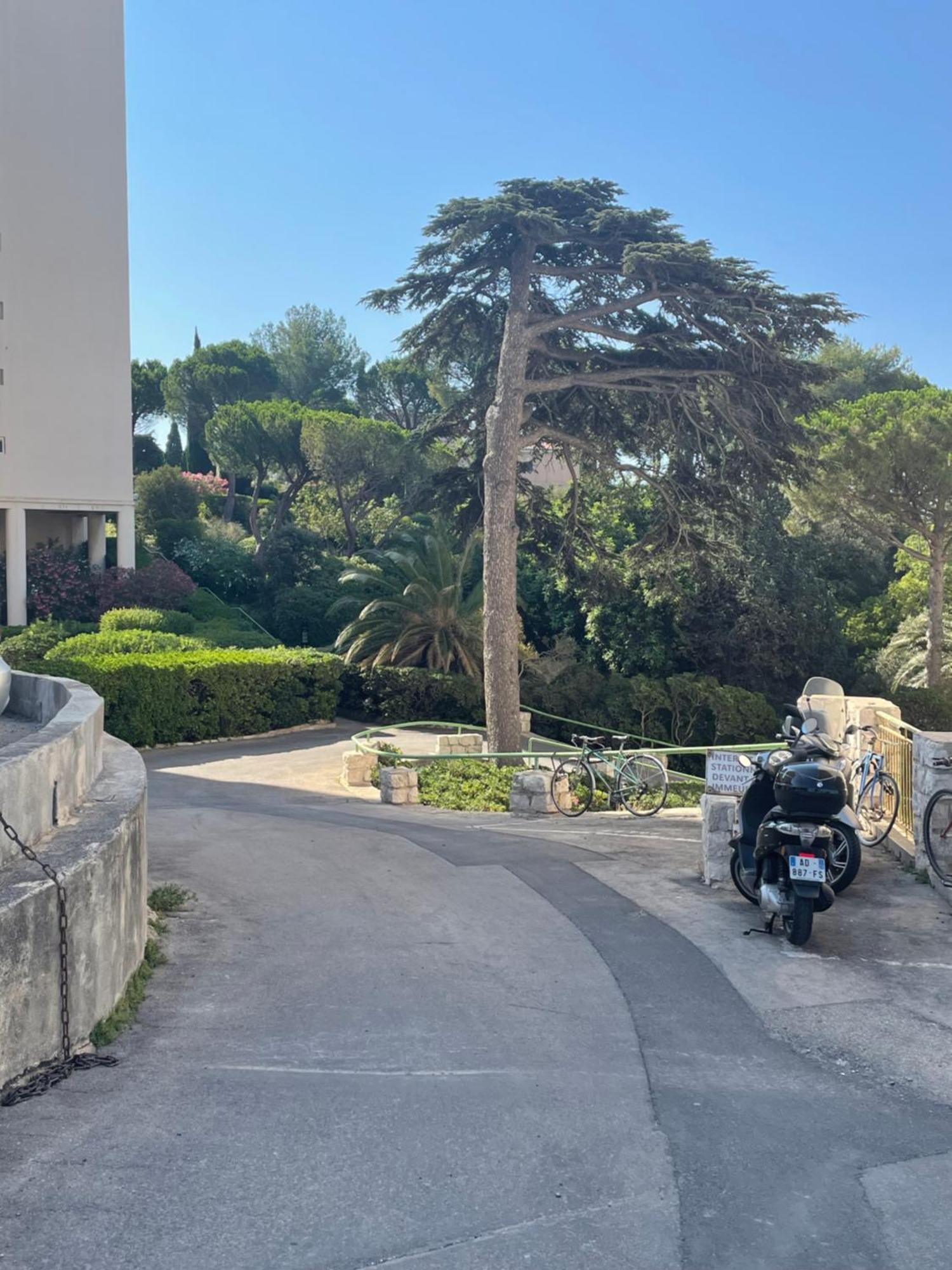 Appartamento Vu Sur Mer Corniche Marsiglia Esterno foto